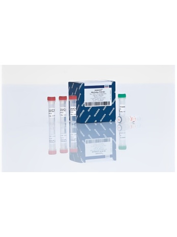 QIAGEN Multiplex PCR Kit (100)