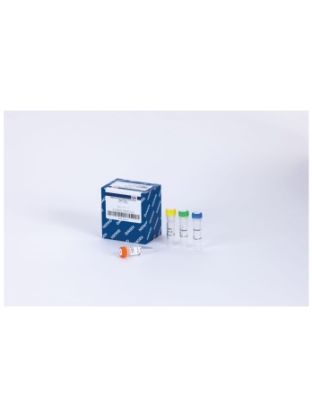 HotStarTaq DNA Polymerase (250 U)